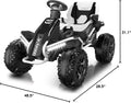 Ride-On Buggy-anpabotoy